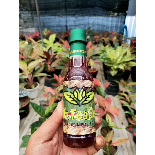 

Madu Klanceng Trigona 250 ml free teh green tea bee