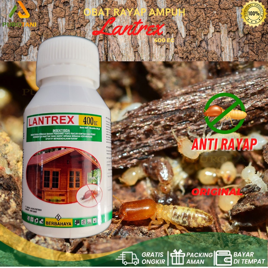 Termisida Obat Rayap Lantrex 100ml racun basmi anti rayap