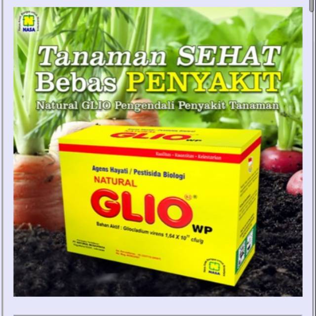 MO NATURAL GLIO Pengendali Jamur Fusarium Penyebab Layu Tanaman 100 Gram/ Fungisida Organik NASA