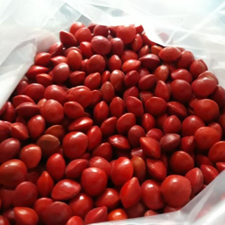 

ョ BIJI SAGA 1KG MERAH MURNI SK88