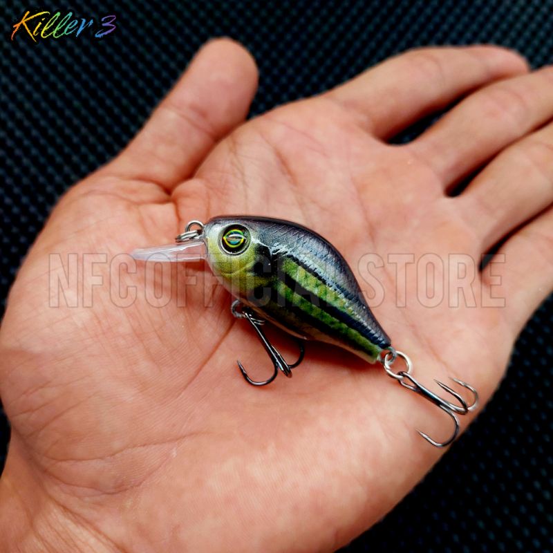 Crankbait 5,5 cm 8,5 gram Umpan casting kerapu Jaminan Action KILLER