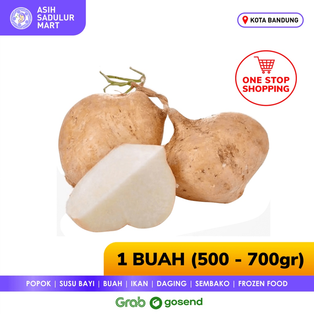 Bengkoang / Bangkuang 1 Buah Promo Buah Bengkuang Bandung | Asih Sadulur Mart