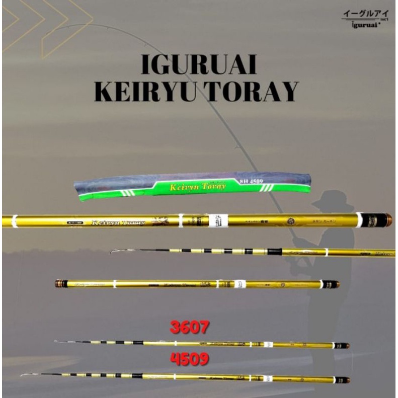 POLE IGURUAI KEIRYU TORAY