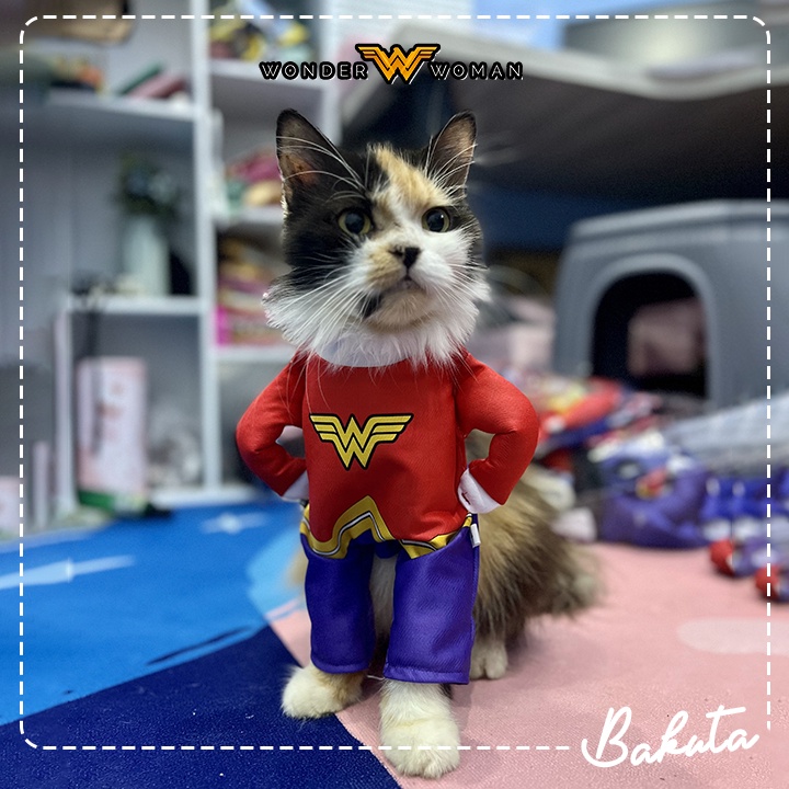 Kostum Superhero untuk kucing dan anjing Lucu Cosplay DC Hero Green Lantern / WonderWoman / The Flash / Kostum kucing Murah / Baju Kucing Tangerang size S-XL