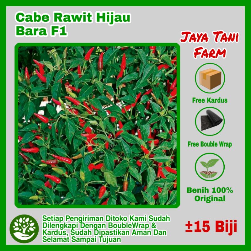 15 Biji Benih Sayuran Cabe Hijau Bara Cap Panah Merah / Bibit Sayuran / Bibit Tanaman / Biji Cabe / 