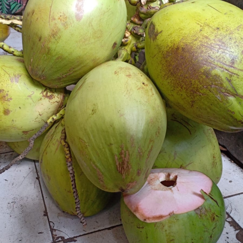 Kelapa Muda 1 Buah Promo Bandung | Asih Sadulur Mart