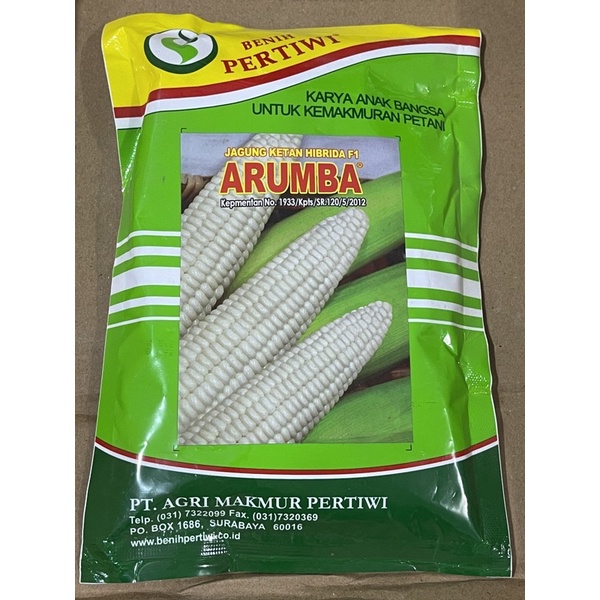 Benih jagung  putih pulut susu Arumba benih Pertiwi isi 250gram Bibit jagung ketan