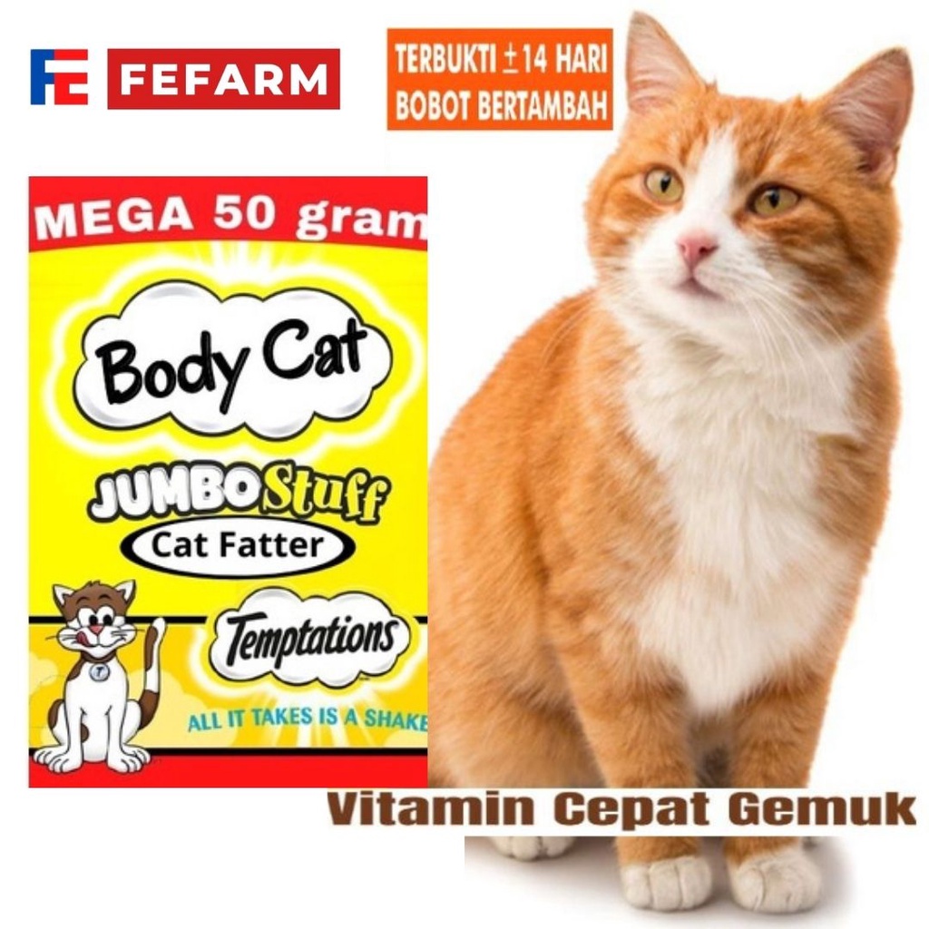 BodyCat 50g Vitamin Penggemuk Kucing Sachet Bubuk Nutrisi Powder BodyCat FEFARM