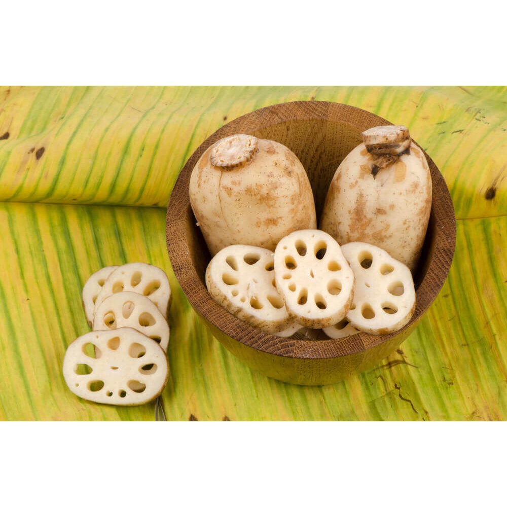 Akar Teratai Lotus Root 500 Gr