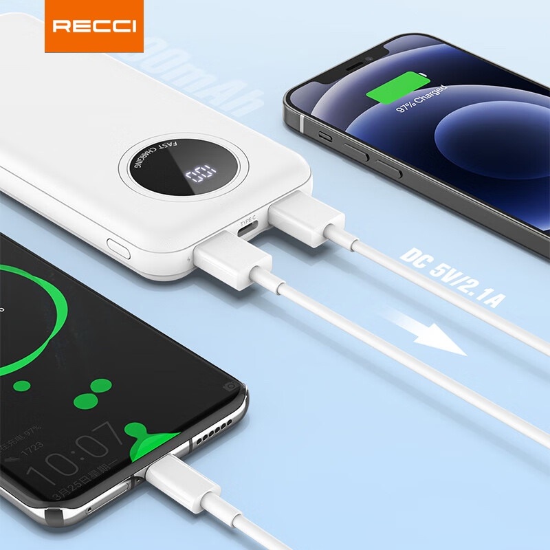 RECCI RP01 - 10000mAh Powerbank - 4 Built-in Cables - Fast Charge 2.1A