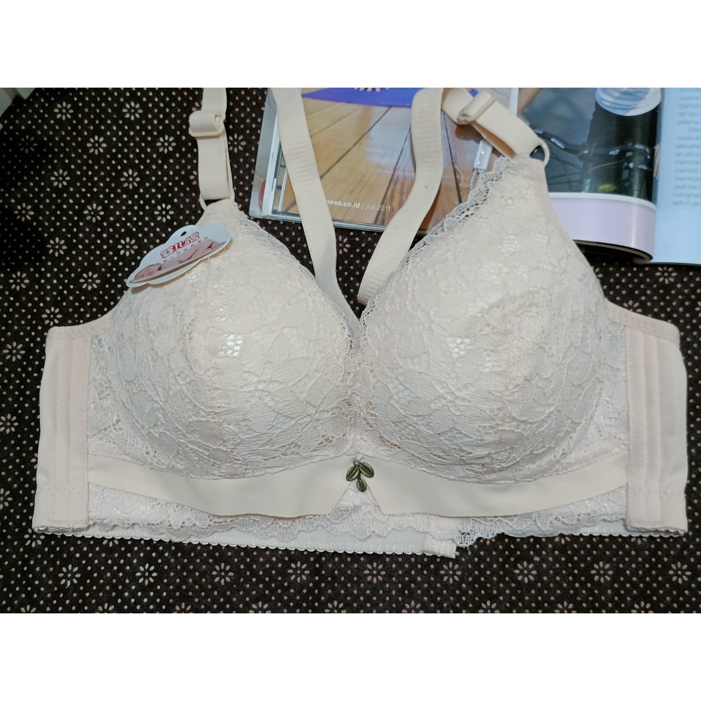 BRA / BH WANITA 015 BUSA TEBAL ADA KAWAT SIZE 34-40