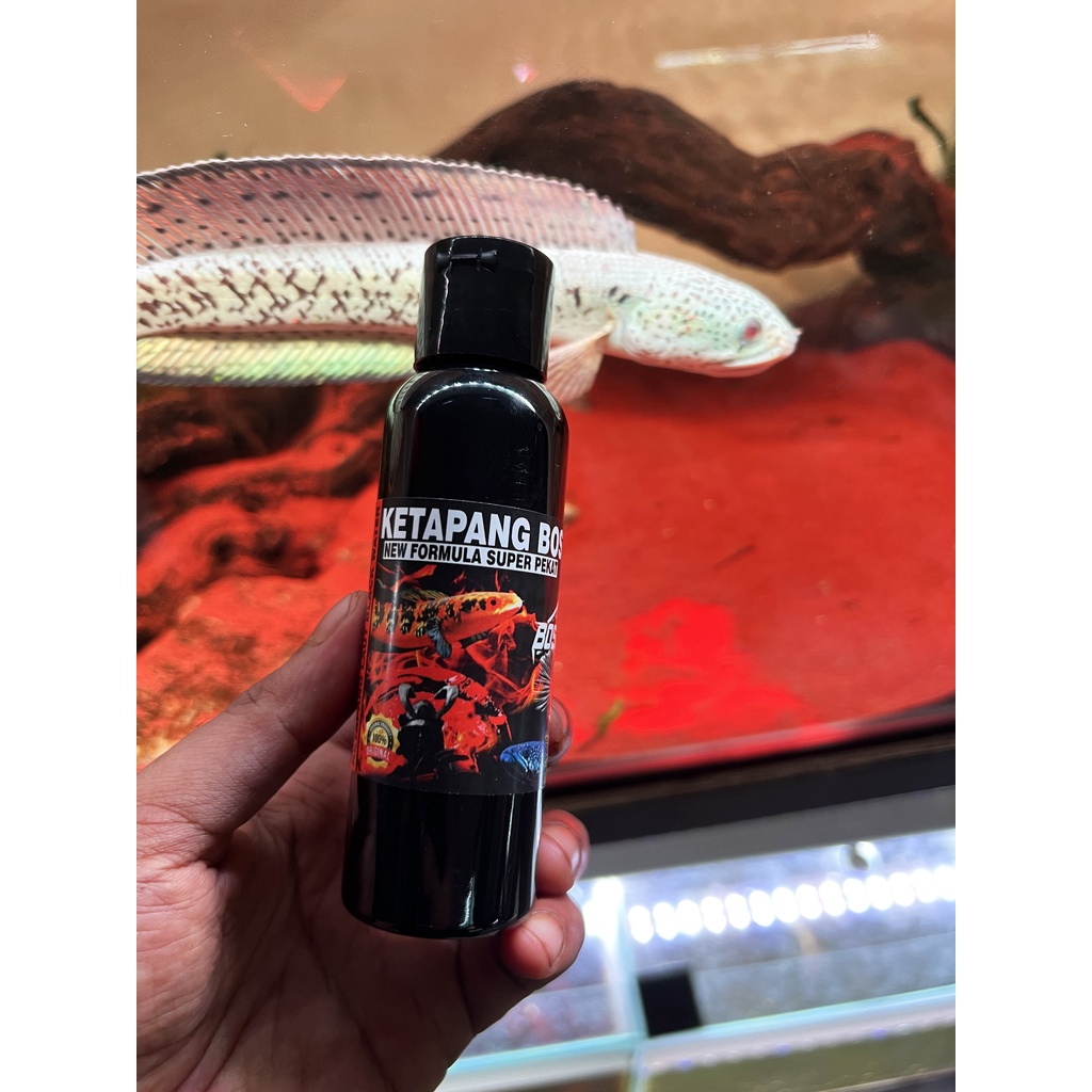 EKSTRAK KETAPANG BOS 100 ml ( KETAPANG LAUT LUMER BLACK WATER PROGRESS CHANNA)