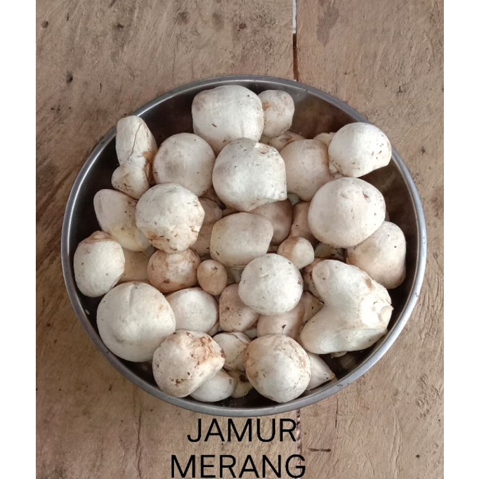 Jual Jamur Merang Sultan Segar Shopee Indonesia