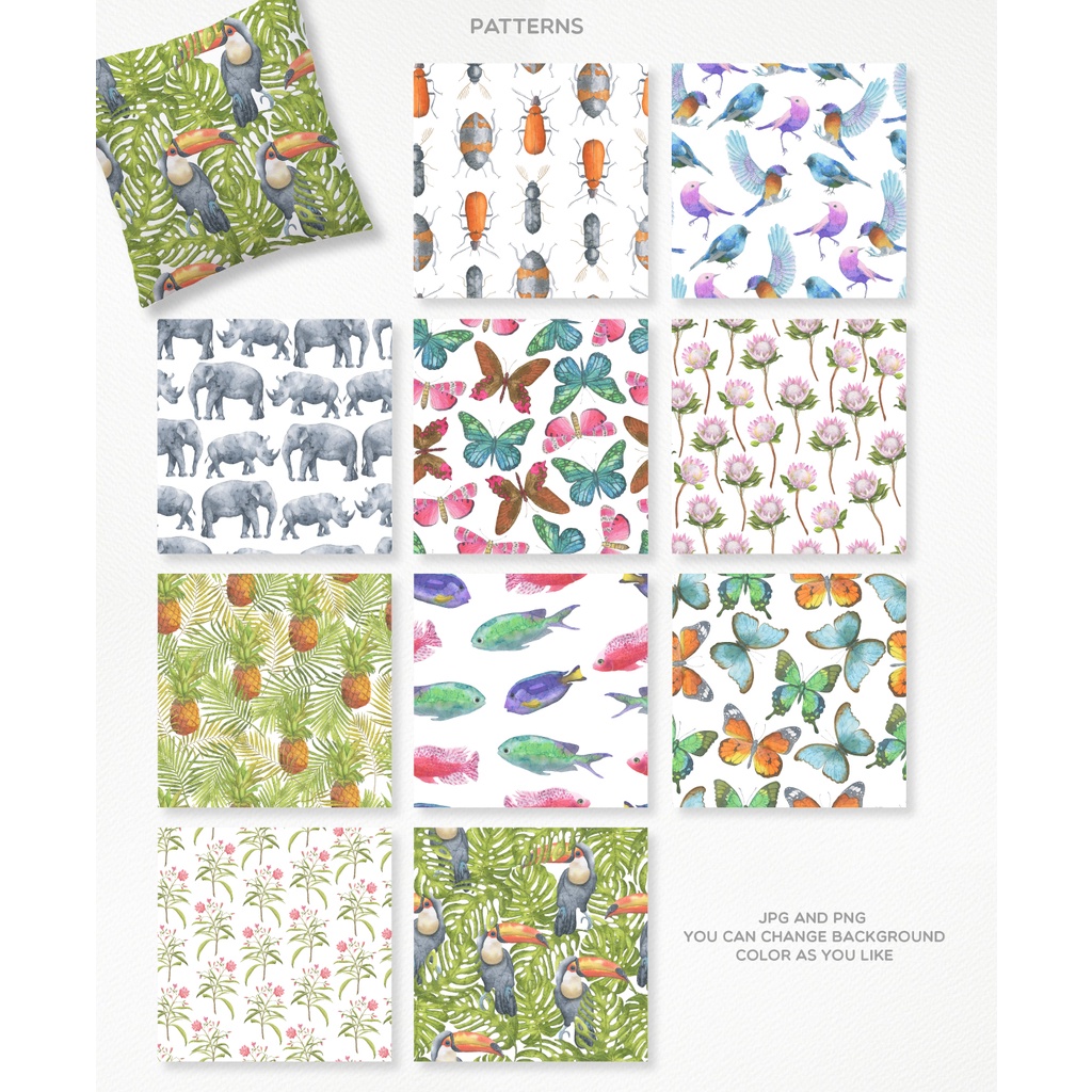 Safari Watercolor Collection