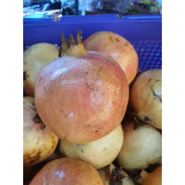 

Buah Delima / Pomegrante