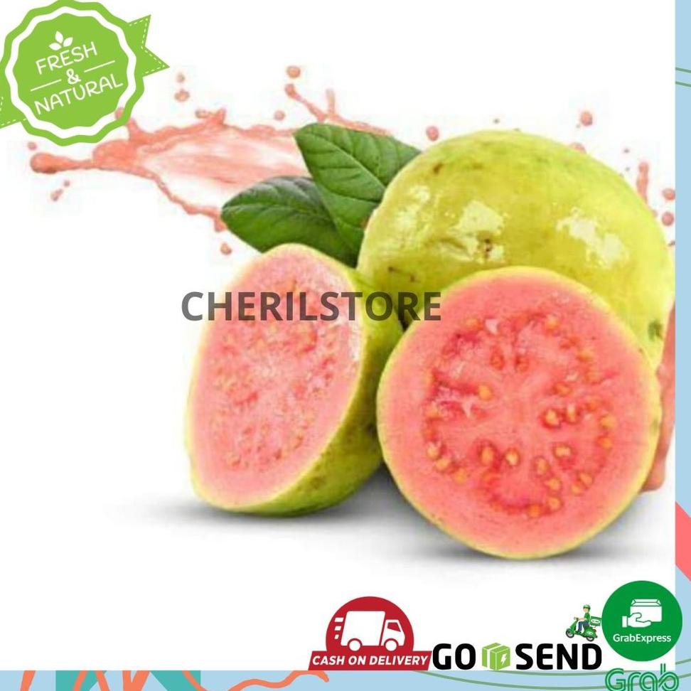 

TERMURAH JAMBU MERAH SEGAR BUAH BUAHAN ONLINE PASAR SURABAYA ♕ 853