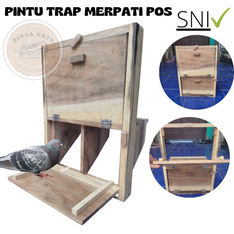 Pintu Trap 2 plong Merpati Pos / Kandang Merpati