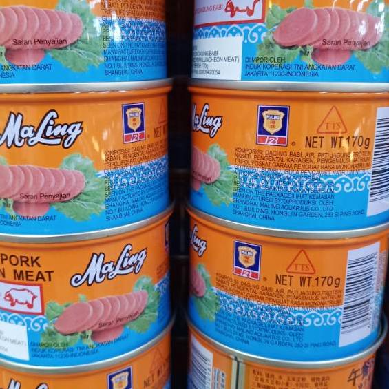 

TTS MaLing ( Pork ) exp 2024