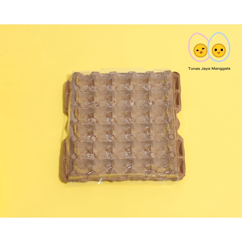 Cover Mika egg tray 30 lubang atau tutup egg tray