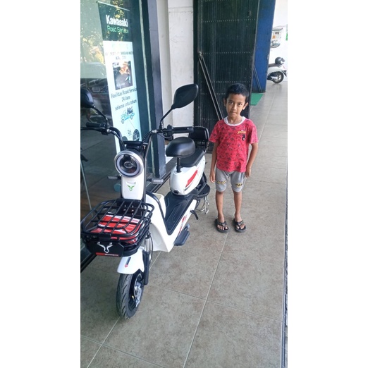 Sepeda Listrik Uwinfly DF5S / DF Dragonfly 5S