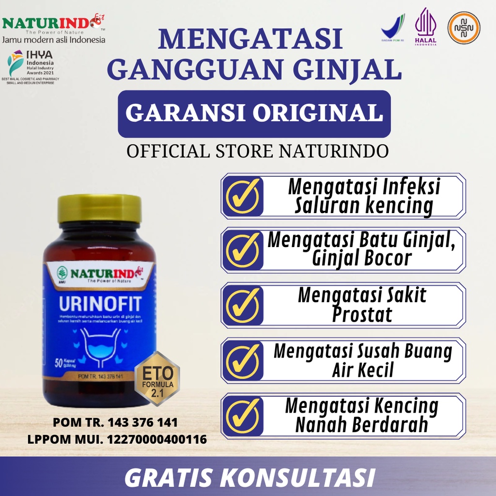 Obat Herbal Batu Ginjal Gagal Ginjal Bocor Bengkak Obat Herbal Anyang Anyangen Sulit Kencing Nyeri S