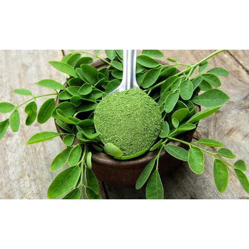 

Moringa Bubuk Kelor Daun Kelor