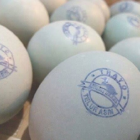 

Stm Stempel Telur Asin Flash Warna Otomatis Tinta Permanent