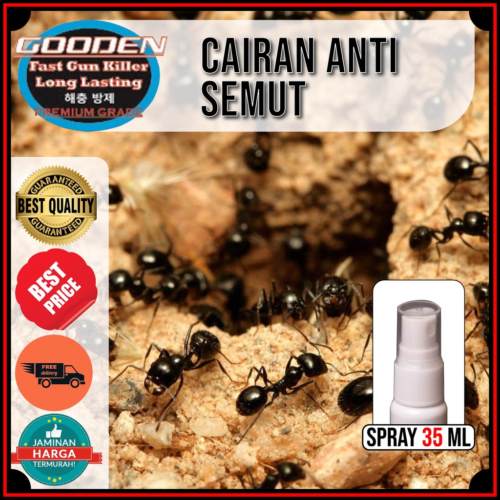 CAIRAN ANTI SEMUT Hitam GOODEN 35 Ml Cairan Pengusir Semut Merah Semuh Hitam Obat Anti Semut Racun P