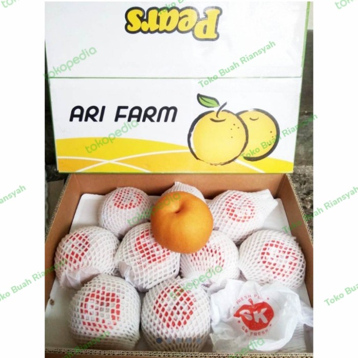 

Buah Pier Korean singo per l kg