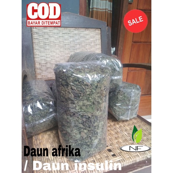 Jual Daun Afrika Insulin Kering Herbal Alami Gram Shopee Indonesia