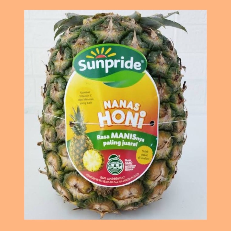 

Nanas sunpride / buah nanas