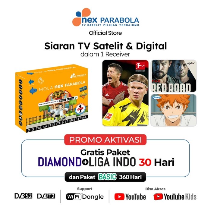 *$*$*$*$] NEX PARABOLA RECEIVER NEX PARABOLA COMBO