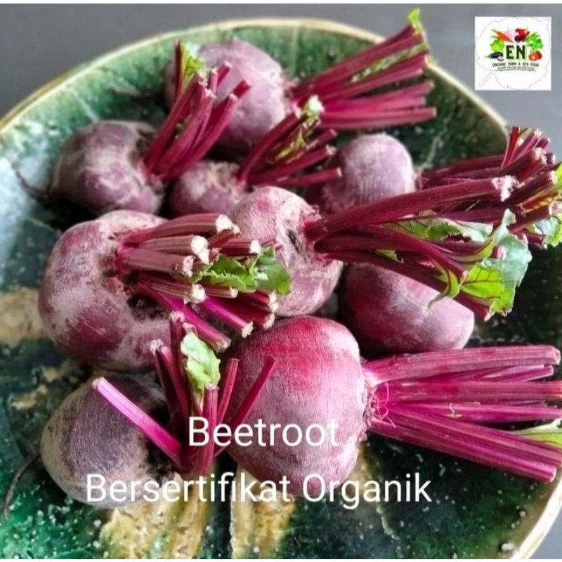 

1kg Buah Beetroot 100% Sertifikat Vegetable Murah Sehat Healthy Life Grosir Supermarket