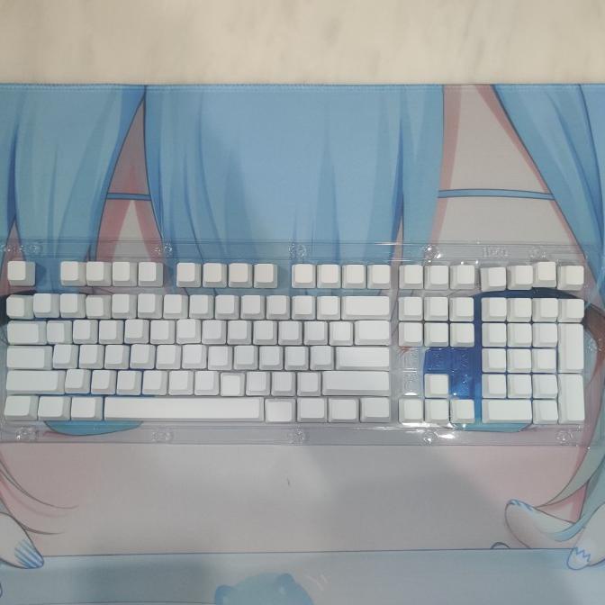 Blank Keycaps OEM Profile PBT