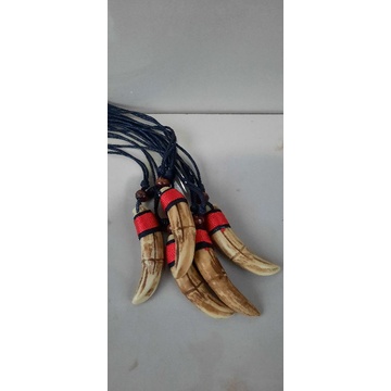 KALUNG TARING ||KALUNG TARING GIGI GERAHAM