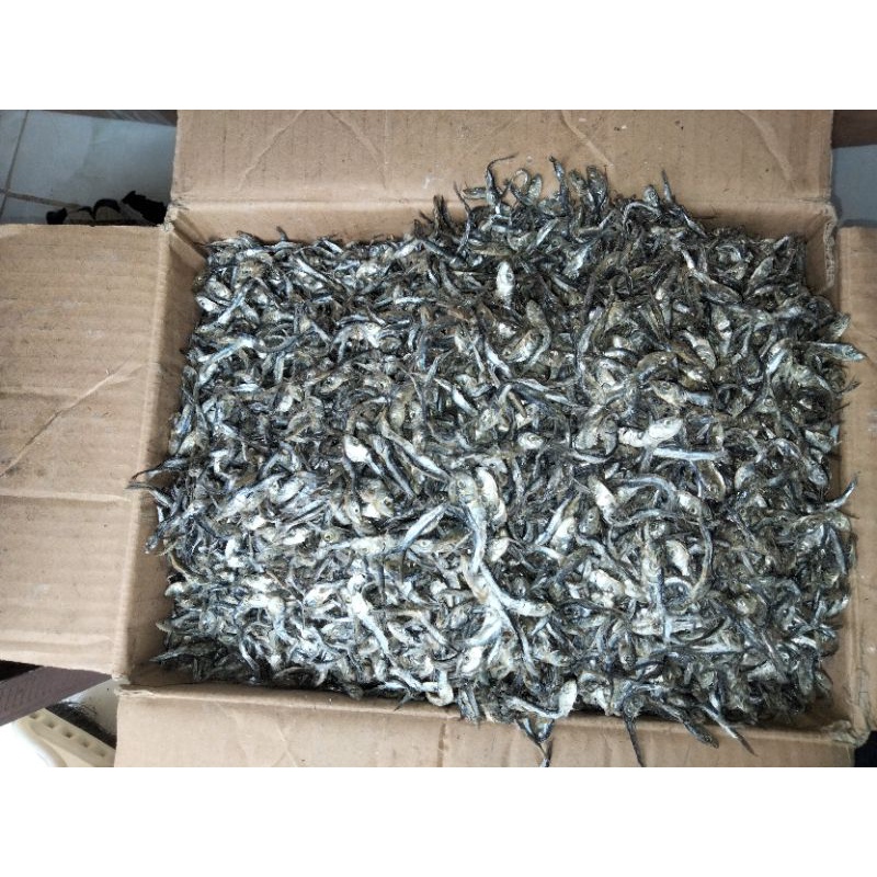 

ikan Teri Item ready 500gr 1kg