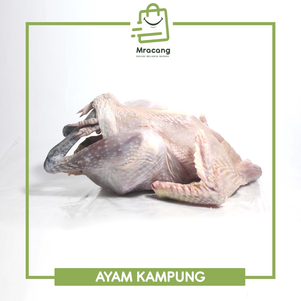 Ayam Kampung Asli