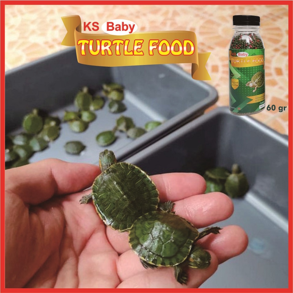 KS BabyTurtle Food Pakan Kura Kura Brazil Pelet Pellet Reptil Katak Kodok Kadal Mix / Grenn Turtle Vit 60gr 1mm 2mm 5mm