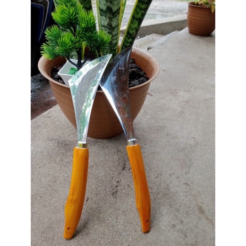 Kape walet Scrub walet