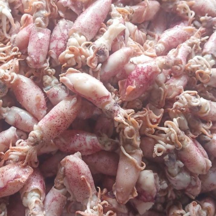 

️✔️✔️ Ikan asin cumi Beby 500gr 1sampai 4cm/cumi asin baby /rebus/basa/cumi asin baby !