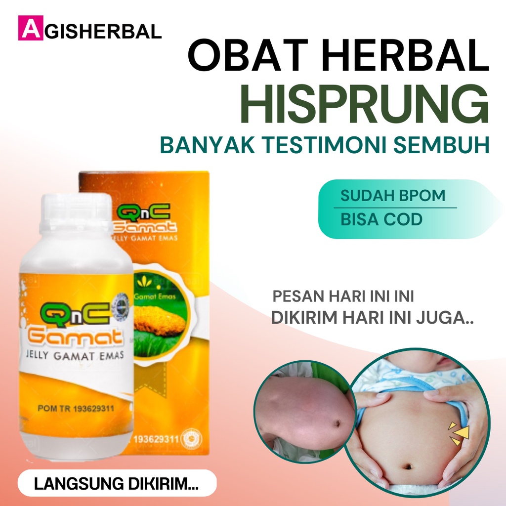 Obat Hisprung Herbal Anak Susah Bab Perut Membesar Qnc Jelly Gamat Emas Asli 100% Original