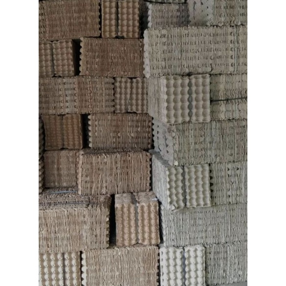 

Egg Trey ayam 50 Lembar