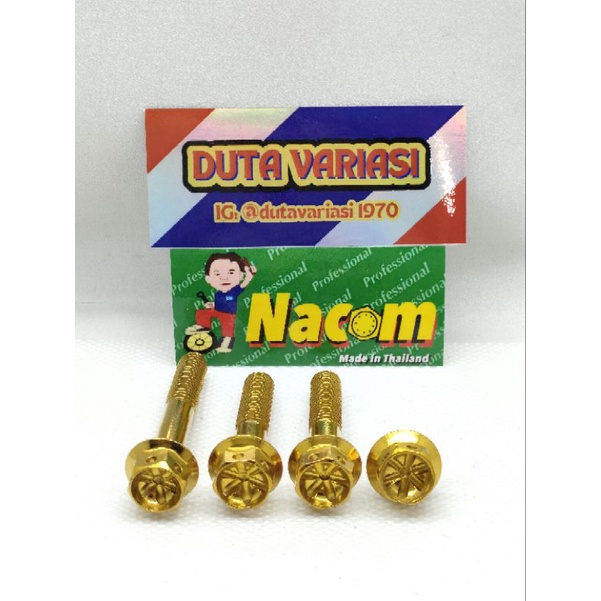 NACOM DV BAUT CRANCASE + BAUT GARDAN VARIO 160