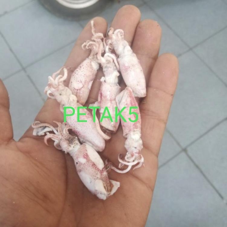 

[KODE PRODUK HS0EO6248] Cumi asin beby 1kg/ cumi asin baby/cumi asin rebus/cumi asin kecil