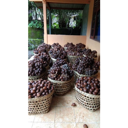 SALAK MADU GRADE A MANIS ASLI SLEMAN