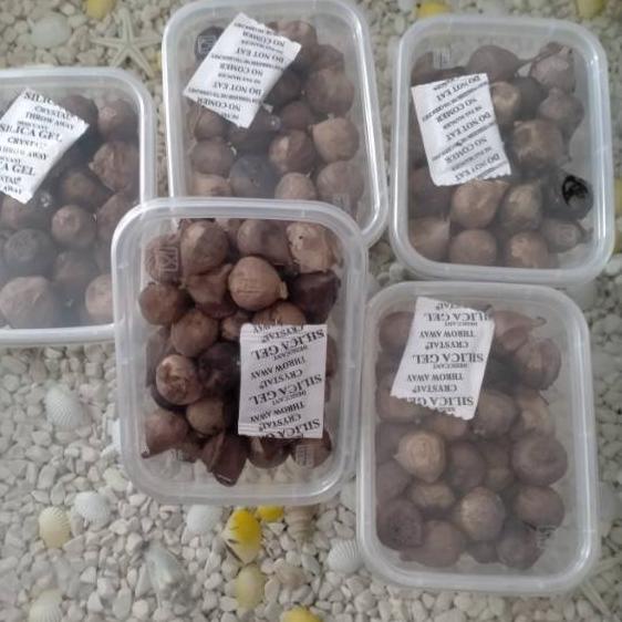 

↱ | PROMO LEBARAN | Bawang lanang hitam/ black garlic 100 gr dan 250gr fermentasi ♟