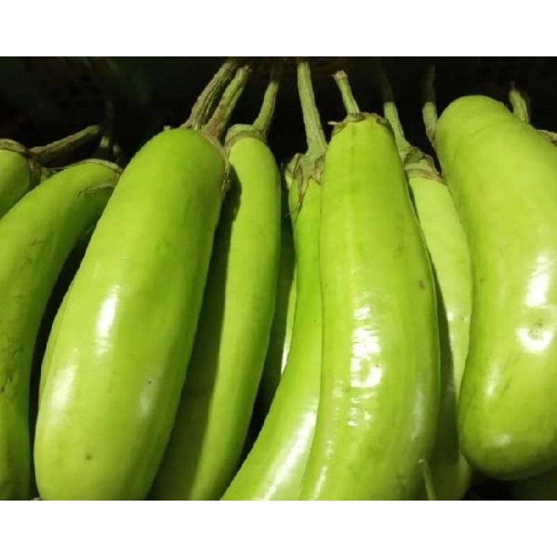 

terong hijau 250gram