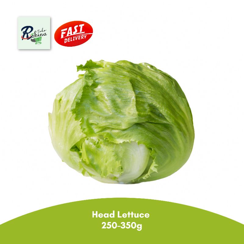 Jual Head Lettuce Fresh 250 350 gr Shopee Indonesia
