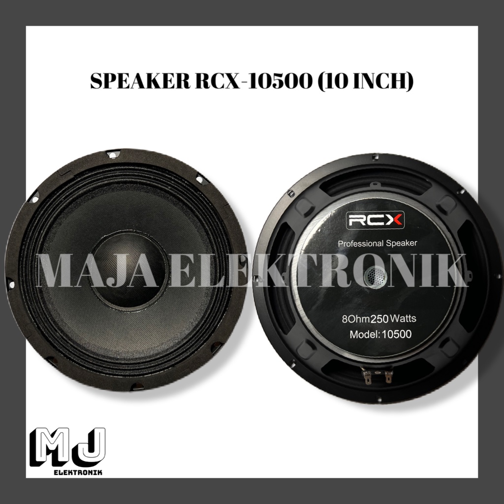 Speaker RCX 10 inch