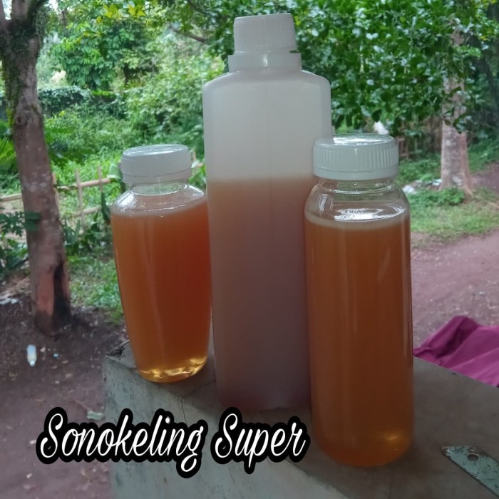 

Madu Sonokeling Super Isi Bersih 1kg